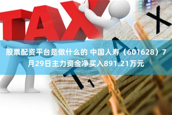 股票配资平台是做什么的 中国人寿（601628）7月29日主力资金净买入891.21万元