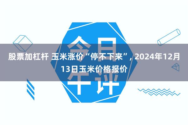 股票加杠杆 玉米涨价“停不下来”, 2024年12月13日玉米价格报价