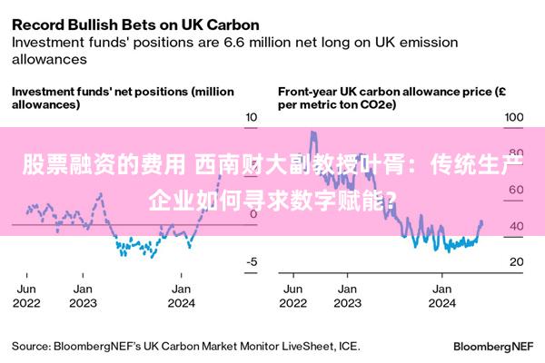 股票融资的费用 西南财大副教授叶胥：传统生产企业如何寻求数字赋能？