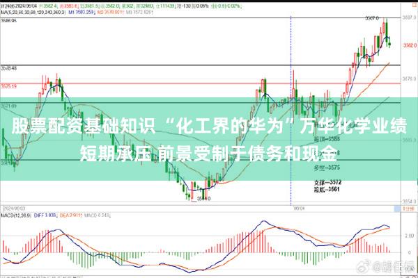 股票配资基础知识 “化工界的华为”万华化学业绩短期承压 前景受制于债务和现金