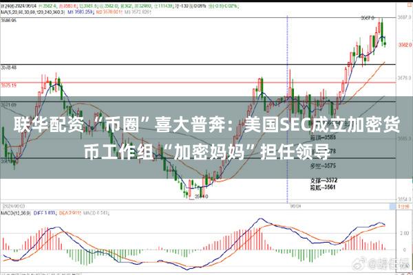 联华配资 “币圈”喜大普奔：美国SEC成立加密货币工作组 “加密妈妈”担任领导