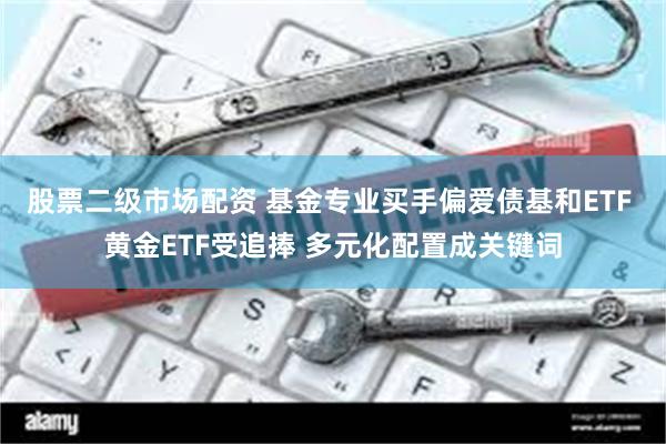 股票二级市场配资 基金专业买手偏爱债基和ETF 黄金ETF受追捧 多元化配置成关键词