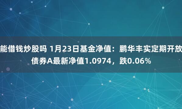 能借钱炒股吗 1月23日基金净值：鹏华丰实定期开放债券A最新净值1.0974，跌0.06%