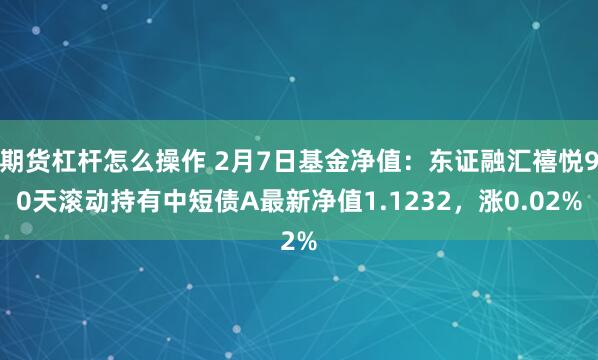 期货杠杆怎么操作 2月7日基金净值：东证融汇禧悦90天滚动持有中短债A最新净值1.1232，涨0.02%