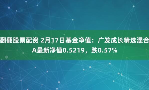 翻翻股票配资 2月17日基金净值：广发成长精选混合A最新净值0.5219，跌0.57%