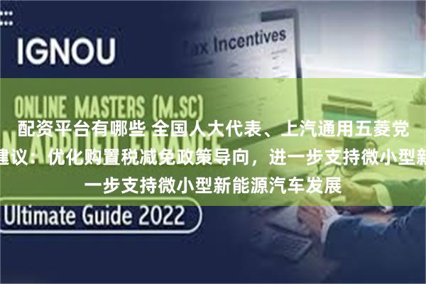 配资平台有哪些 全国人大代表、上汽通用五菱党委书记姚佐平建议：优化购置税减免政策导向，进一步支持微小型新能源汽车发展